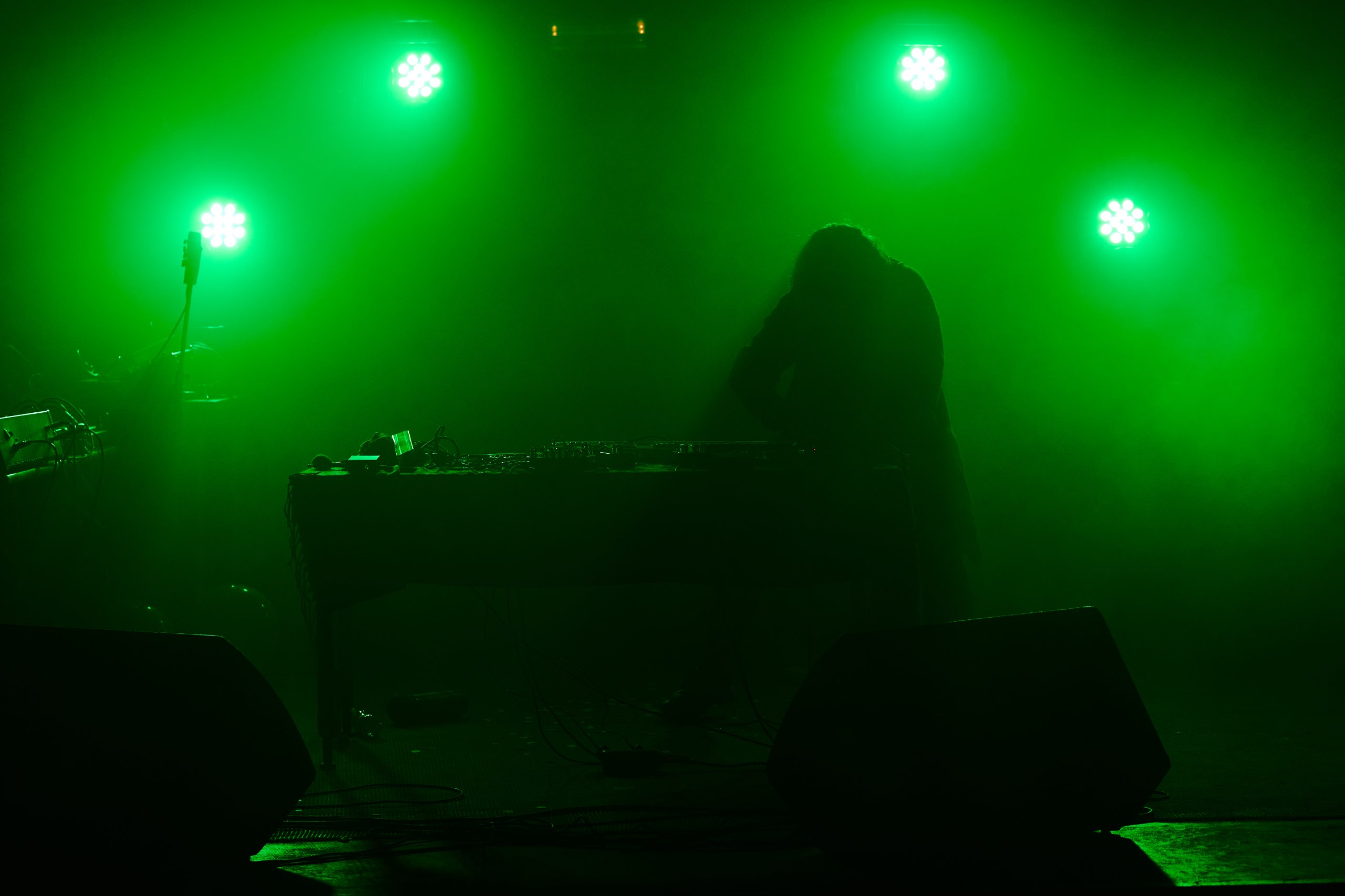 2024 09 13 Auditiver Cortex 0447